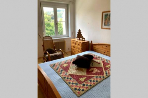 Cozy Condo close to town, castle, lake and hiking Wolfsberg